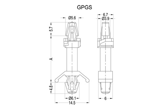 GPGS 2D 503X350.jpg